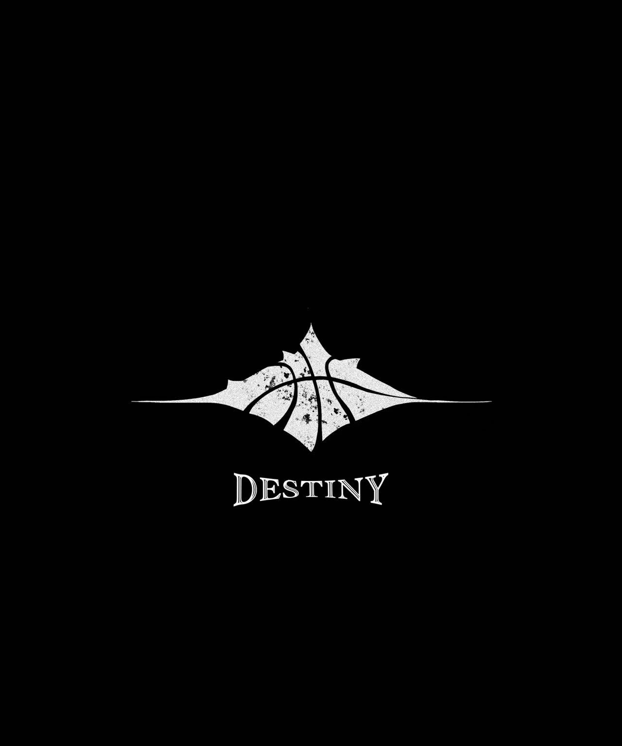 Team Destiny logo in white on black — blackout entrance version